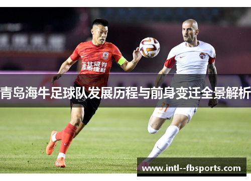青岛海牛足球队发展历程与前身变迁全景解析 青岛海牛足球队发展历程与前身变迁全景解析